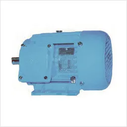 Three Phase Induction Motors